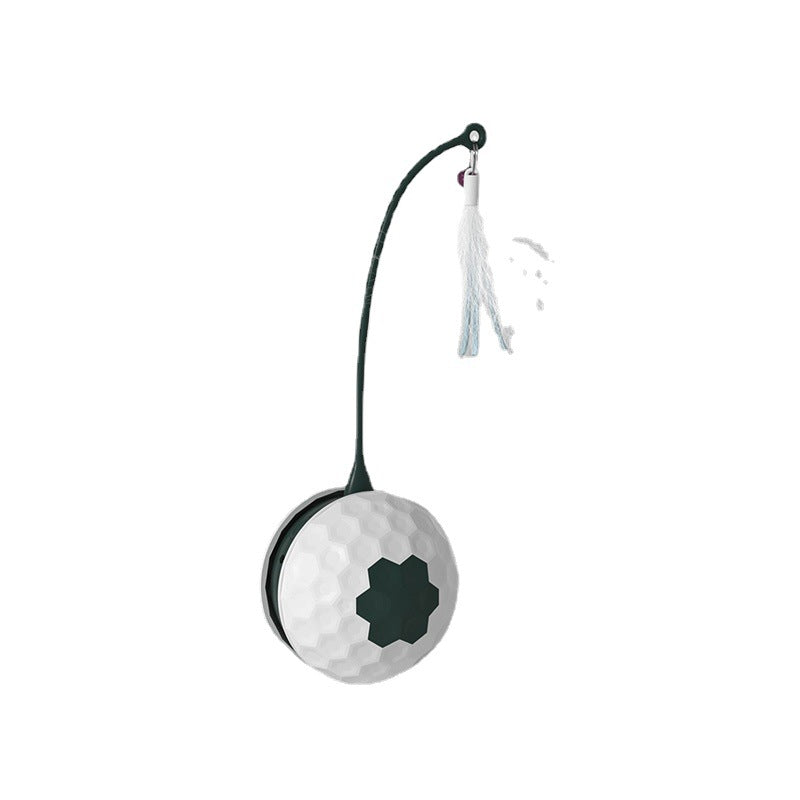 Electric Intelligent Bite Resistant Pet Interactive Toy