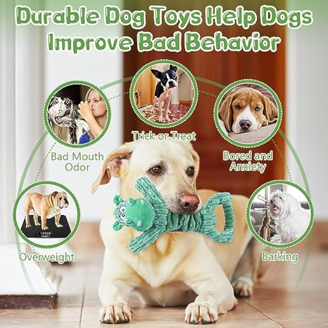 Large Squeaky Plush Pet Toy Soft Fabric Tug Of War Indoor Play Toy