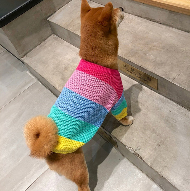 Rainbow Fashion Sweater Small Pet Clothes