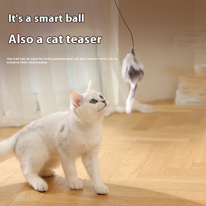 Electric Moving Pet Teaser Ball Interactive Rolling Toy