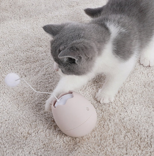 Interactive Pet Funny Boredom Relief Toy