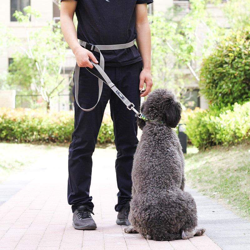 Pet Multifunctional Running Traction Adjustable Leash