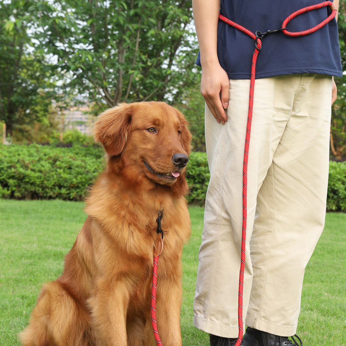 Pet Adjustable Reflective Handheld Rope Leash Multifunctional Harness