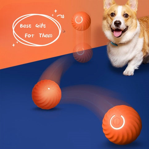 Durable Rubber Bite Resistant Chew Training Pet Toy Ball