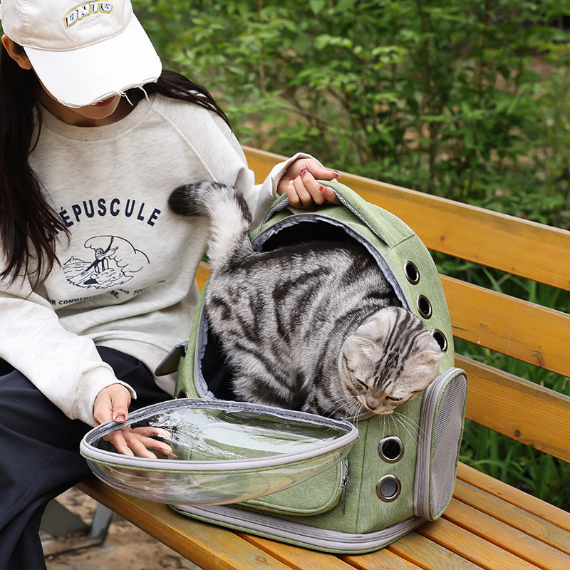 Portable Transparent Pet Backpack Space Capsule Travel Carrier Bag