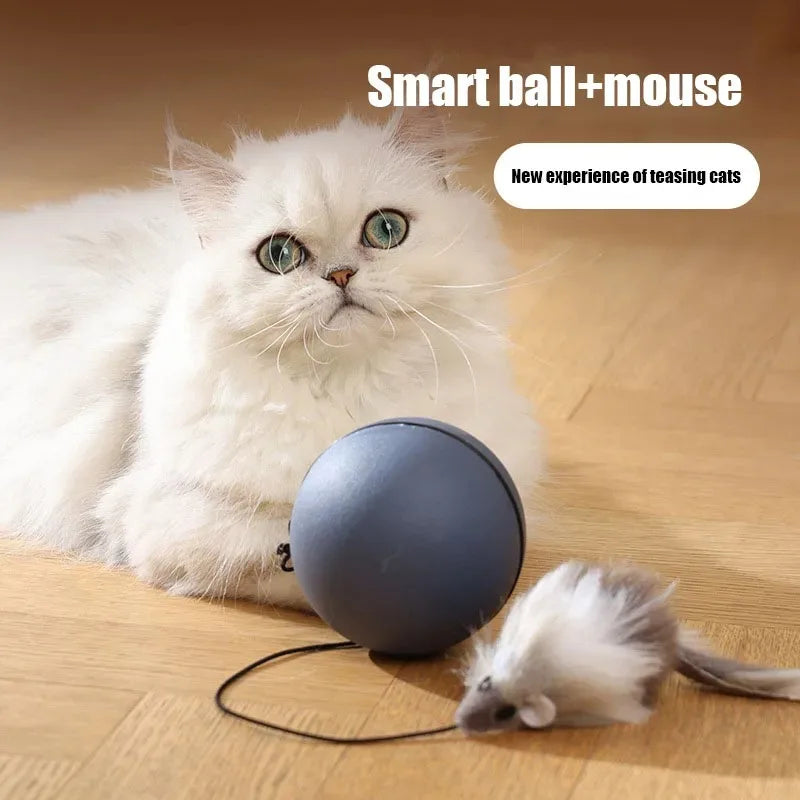 Electric Moving Pet Teaser Ball Interactive Rolling Toy
