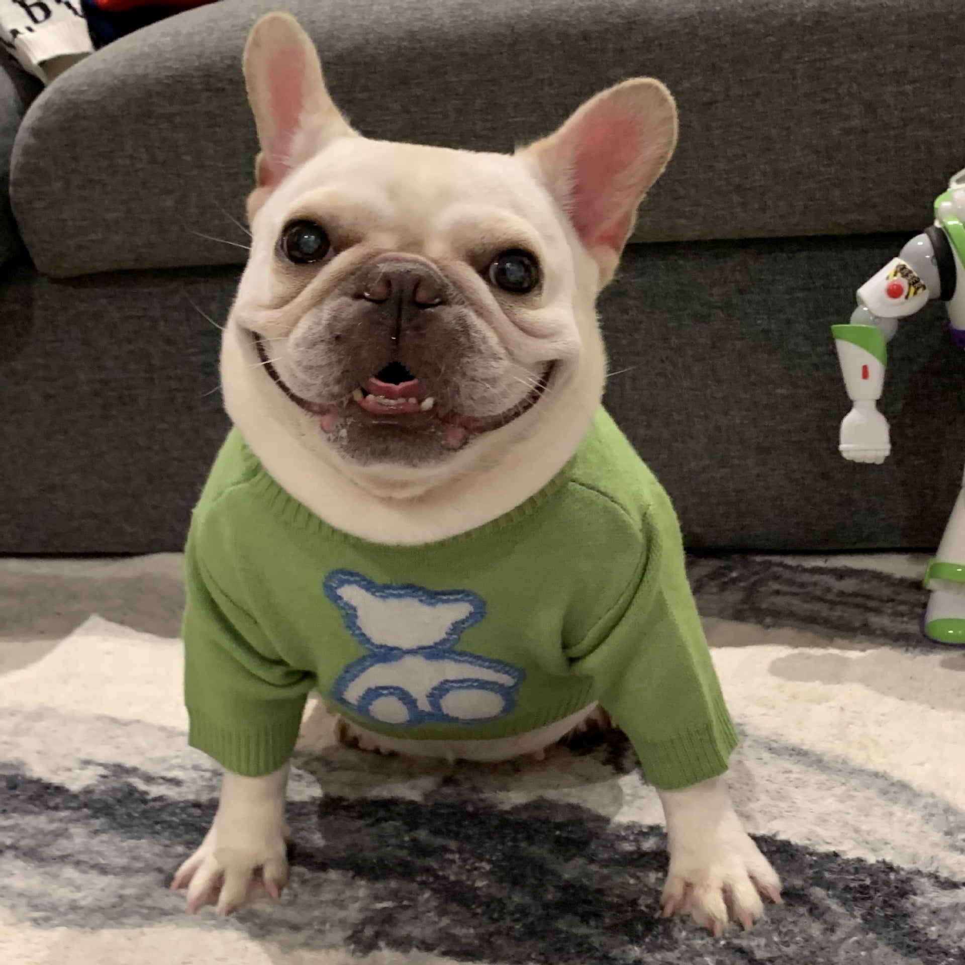 Fall Winter Fashion Pet Sweater Clothes