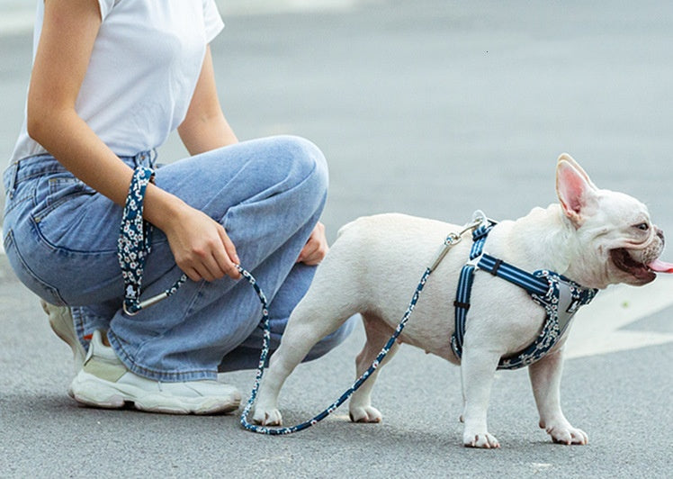 Outdoor Pet Floral Round Handheld Rope Leash
