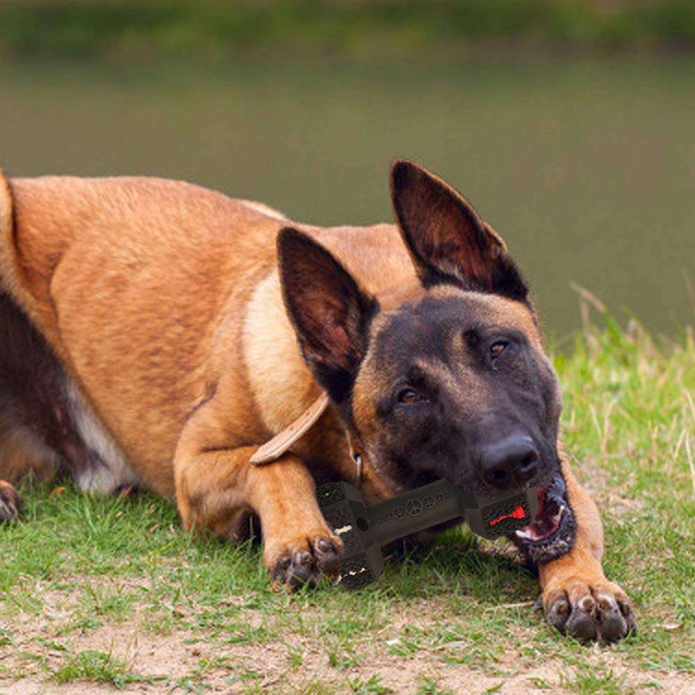 Durable Chew Toy For Aggressive Chewers Tooth Cleaning Interactive Pet Toy