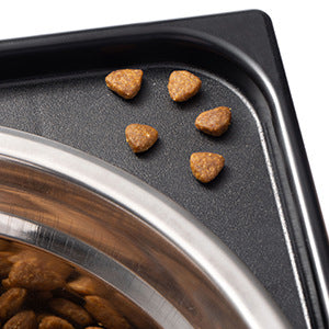 Anti Tumble Neck Support Elevated Pet Feeding Bowl Stand