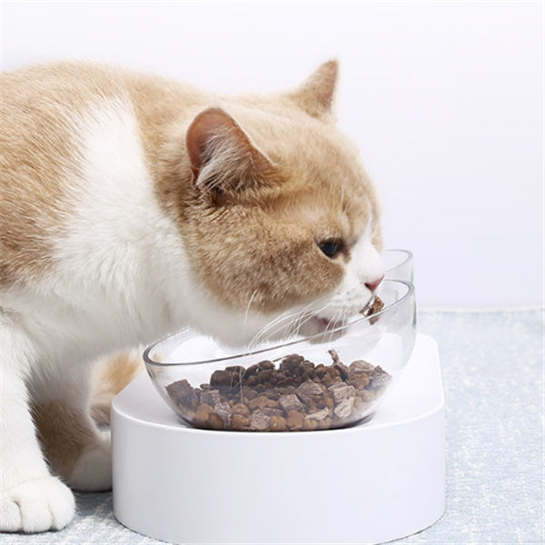 Adjustable Elevated Pet Feeding Bowl