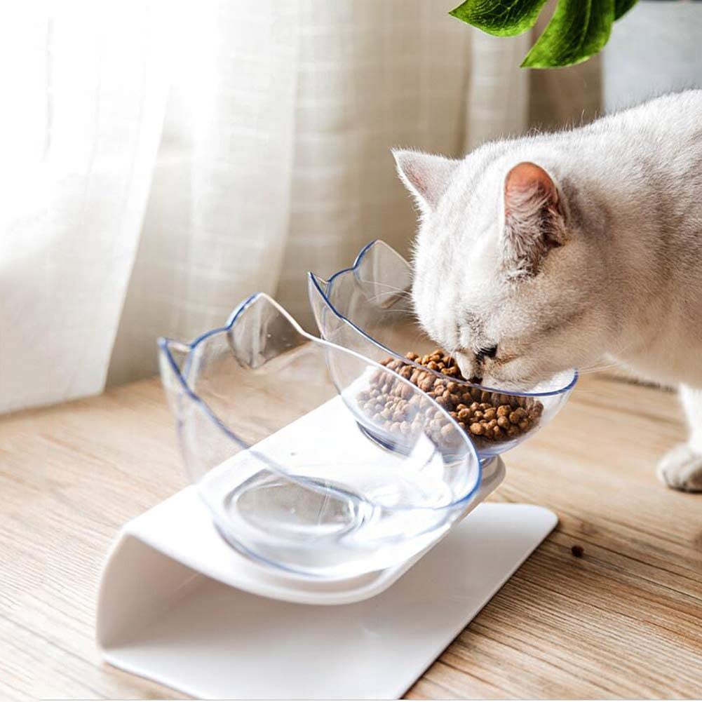 Non Slip Raised Stand Double Pet Food And Water Bowl