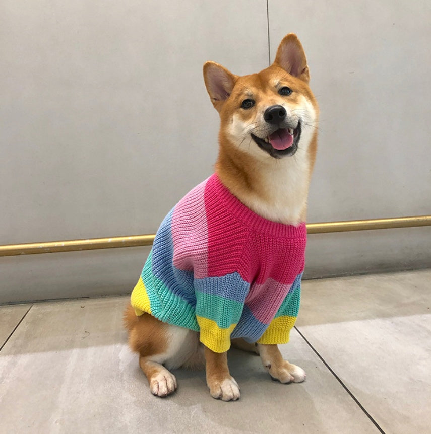 Rainbow Fashion Sweater Small Pet Clothes