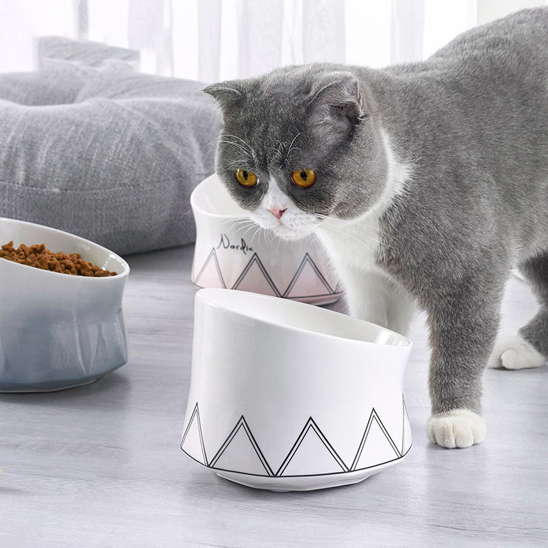 Ceramic Pet Food And Water Bowl