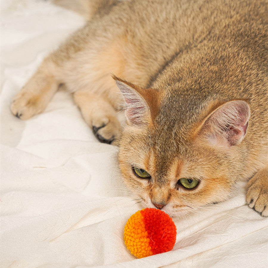 Quiet Pet Hair Ball Interactive Toy