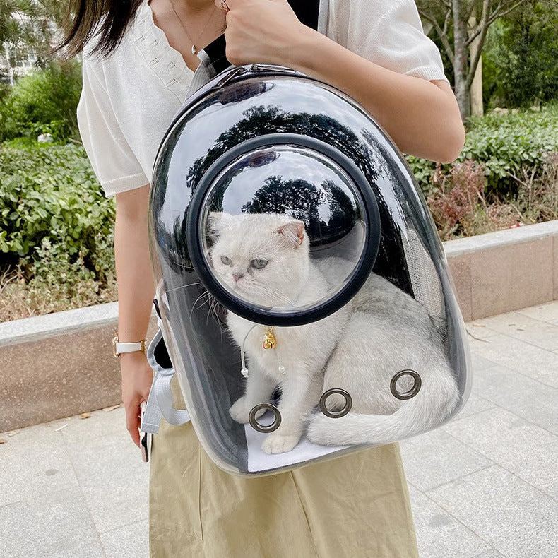 Transparent Skylight Breathable Pet Backpack Large Capacity Travel Bag