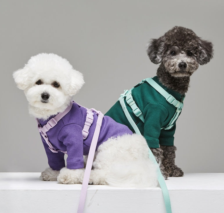 Pet Macaron Style Windproof Adjustable Leash