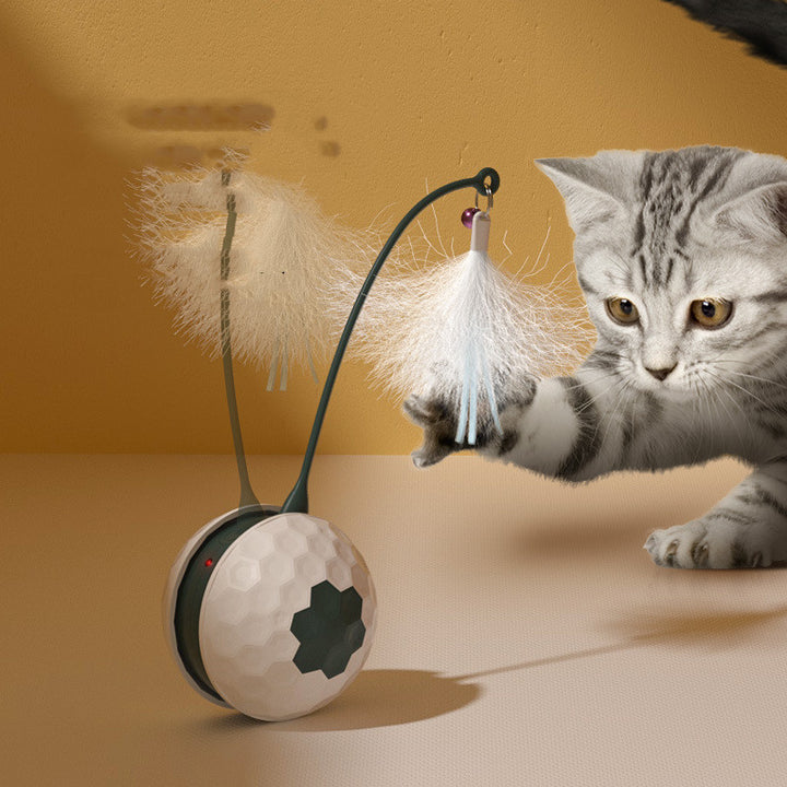 Electric Intelligent Bite Resistant Pet Interactive Toy