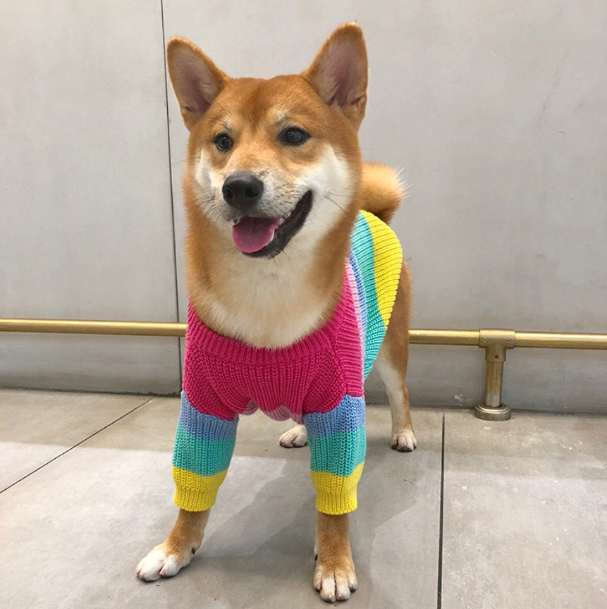 Rainbow Fashion Sweater Small Pet Clothes