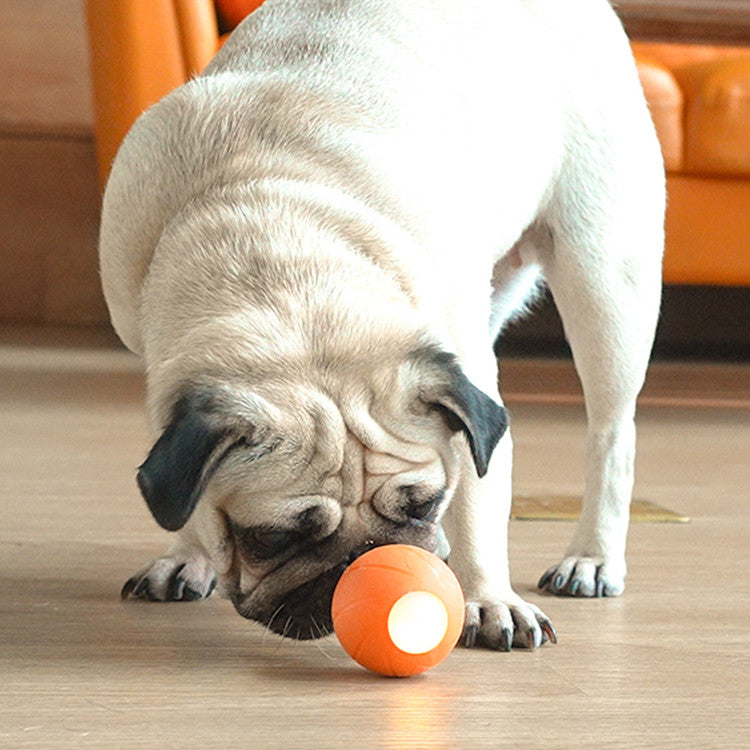 Interactive Pet Toys Teasing Stick And Rolling Ball For Boredom Relief