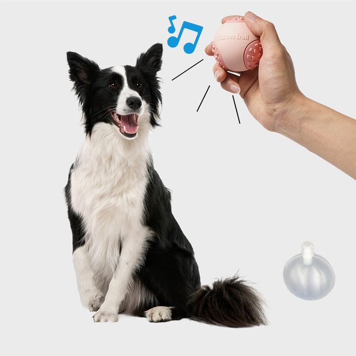 Durable Motion Rolling Pet Ball Interactive Toy For All Sizes Pets