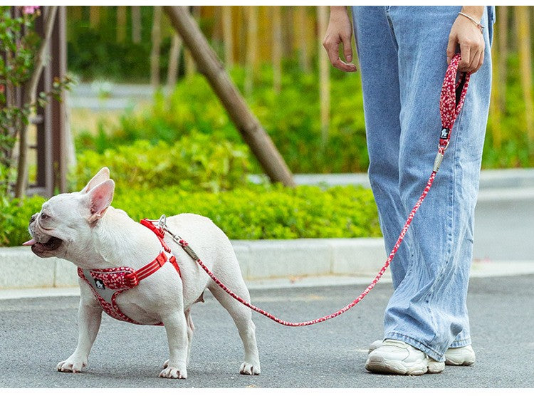 Outdoor Pet Floral Round Handheld Rope Leash