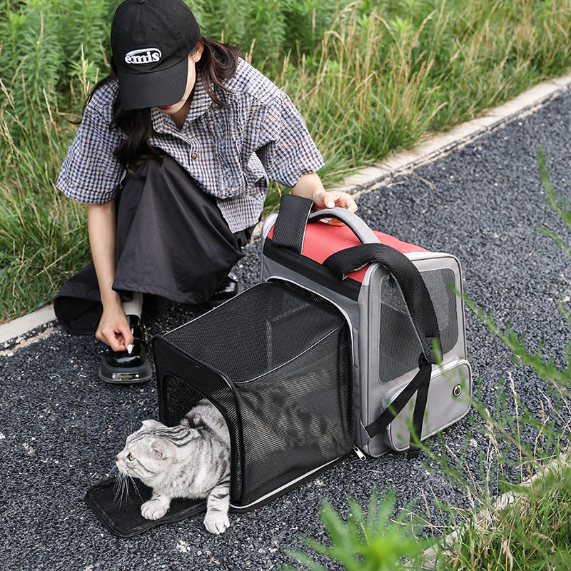 Expandable Large Capacity Portable Pet Backpack Diaper Travel Bag
