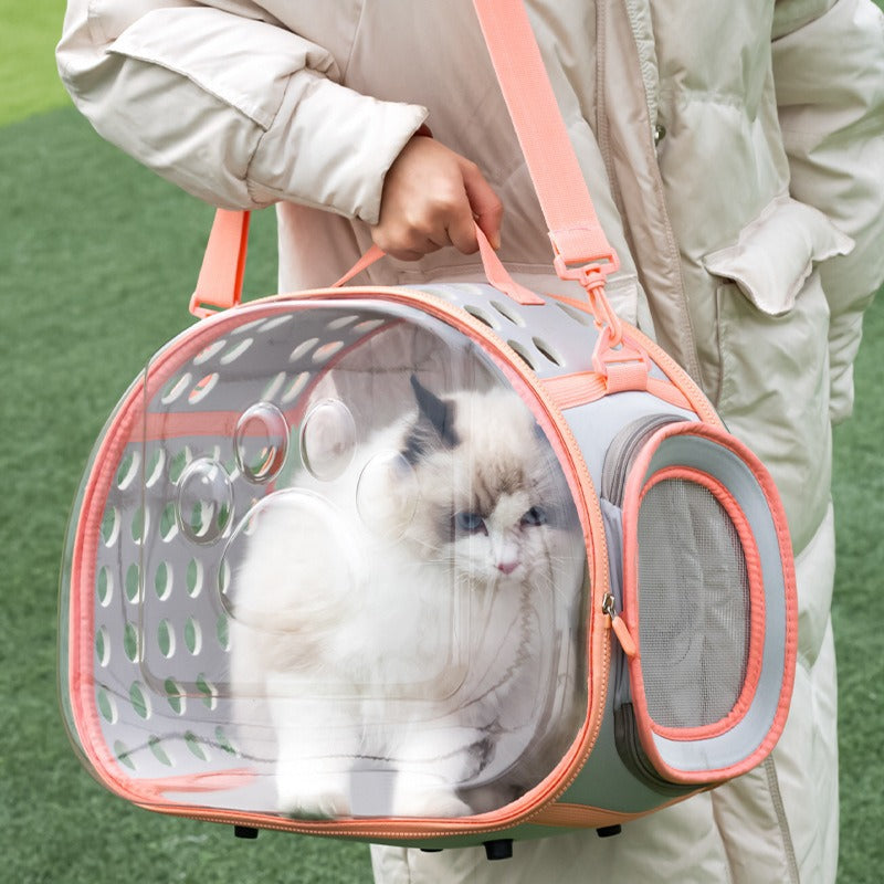 Portable Transparent Pet Space Capsule Backpack Travel Carrier Bag