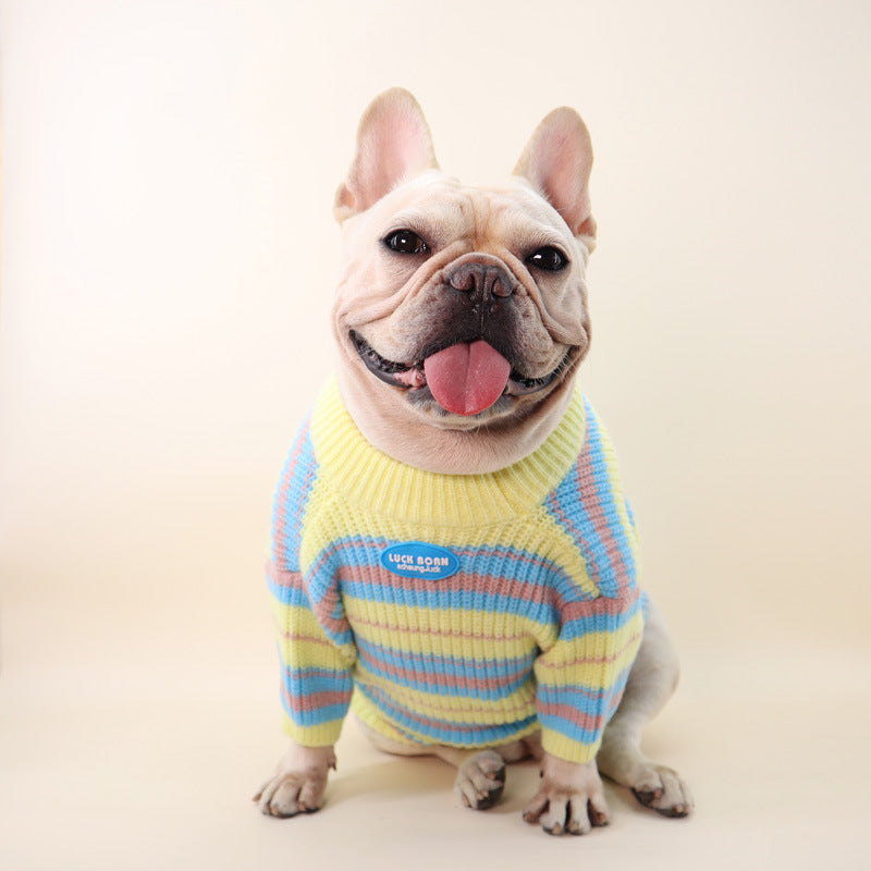 Autumn Winter Fashion Small Pet Sweater Clothes