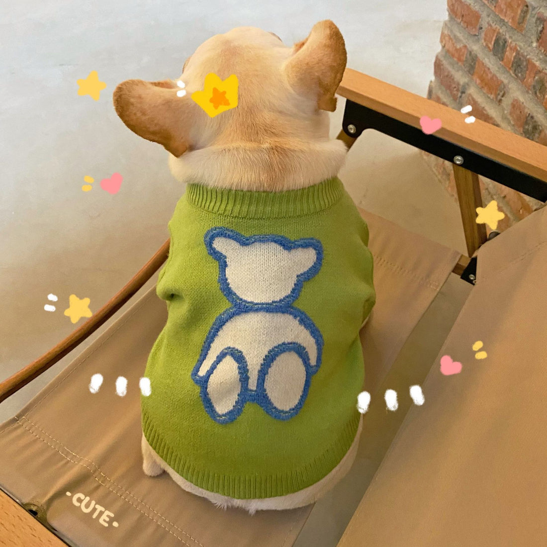 Fall Winter Fashion Pet Sweater Clothes