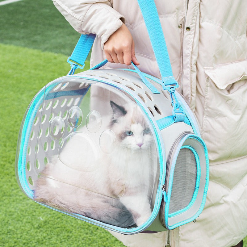 Portable Transparent Pet Space Capsule Backpack Travel Carrier Bag