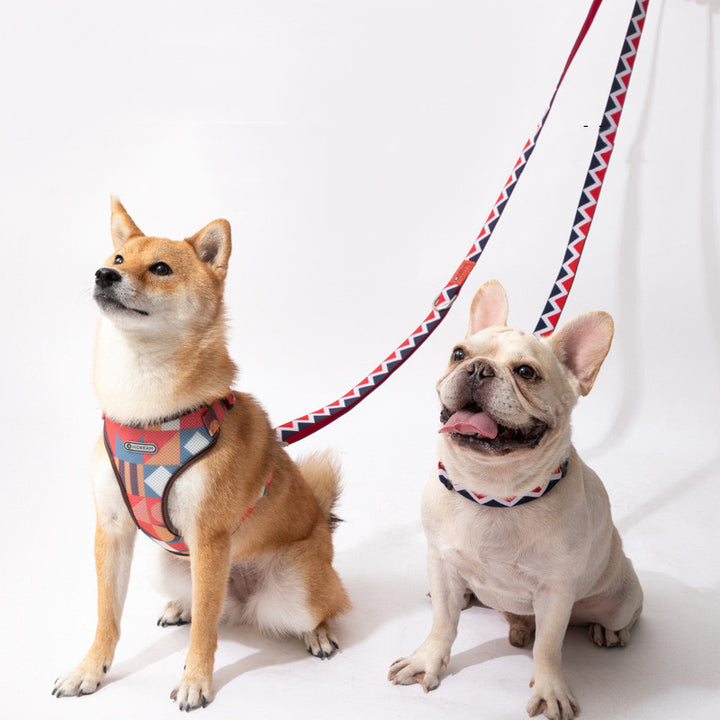Rainbow Adjustable Hands Free Multifunctional Pet Traction Rope