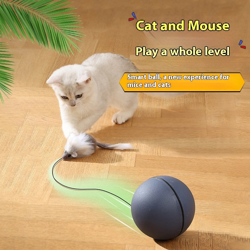 Electric Moving Pet Teaser Ball Interactive Rolling Toy
