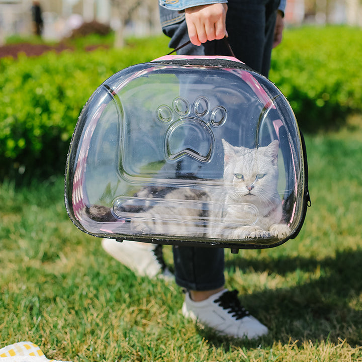 Portable Full Transparent Pet Backpack Travel School Style Bag