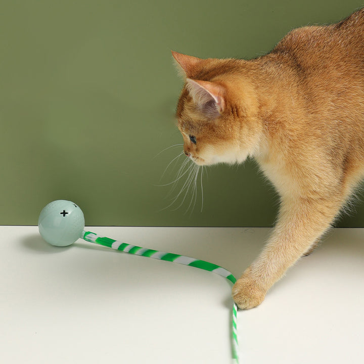 Interactive Electric Motion Activated Pet Ball Toy Touch Sensor Play Accessory