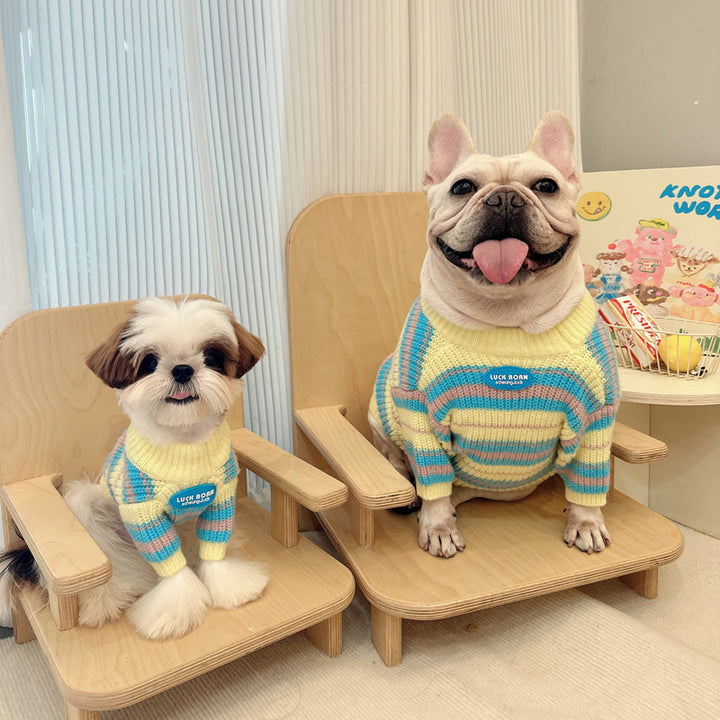 Autumn Winter Fashion Small Pet Sweater Clothes