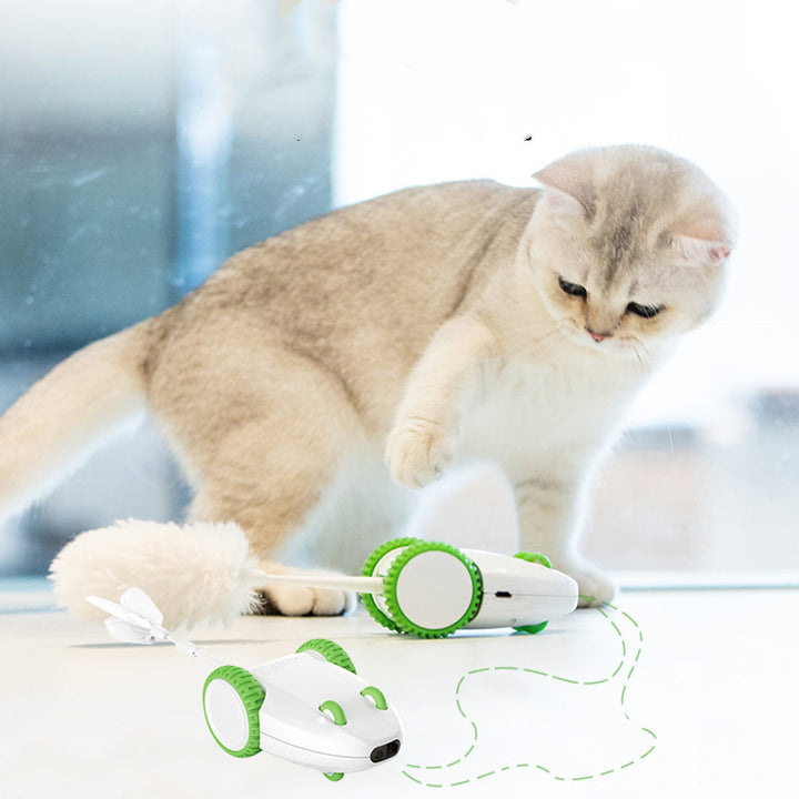 Automatic Interactive Pet Feather Stick Toy Anti Boredom
