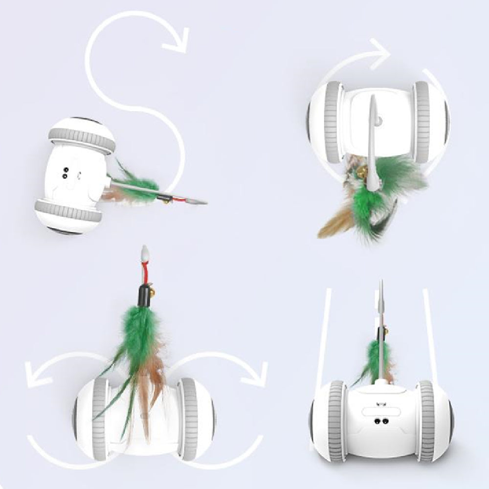 Interactive Pet Toy Interchangeable Feather Play Set