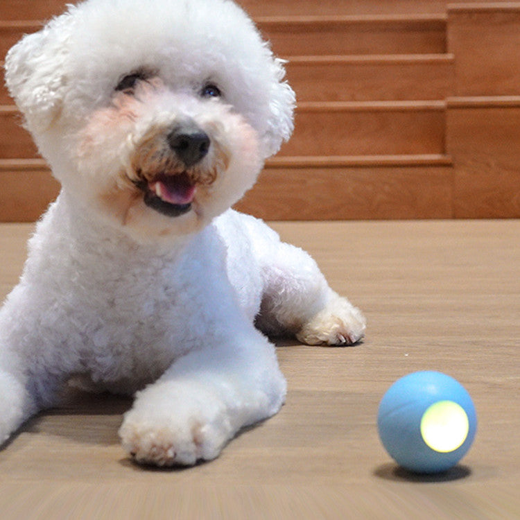 Interactive Pet Toys Teasing Stick And Rolling Ball For Boredom Relief