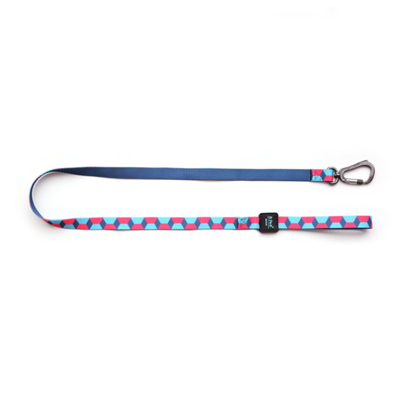 Printed Ribbon Pet Traction Rope Leash