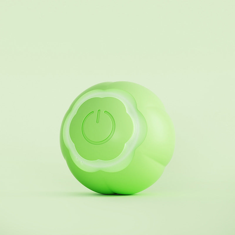 Smart Pet Rolling Ball Bite Resistant Interactive Toy