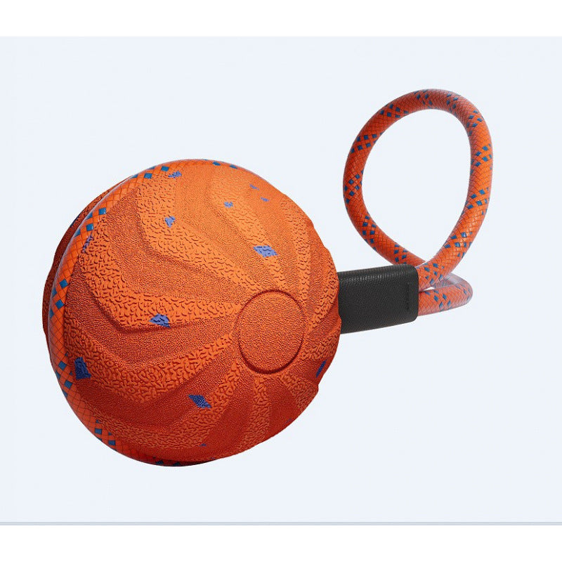 Electric Smart Rolling Sound Playing Spinning Pet Toy Ball