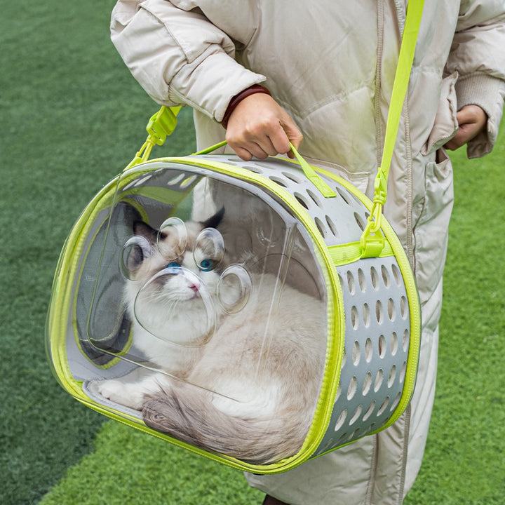 Portable Transparent Pet Space Capsule Backpack Travel Carrier Bag