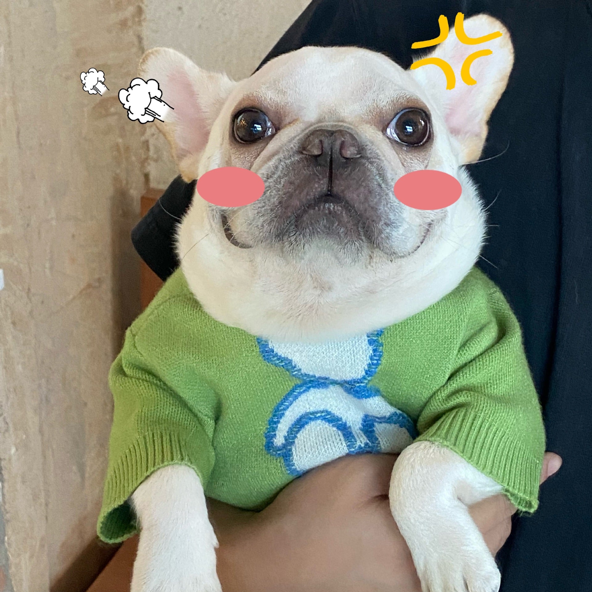 Fall Winter Fashion Pet Sweater Clothes