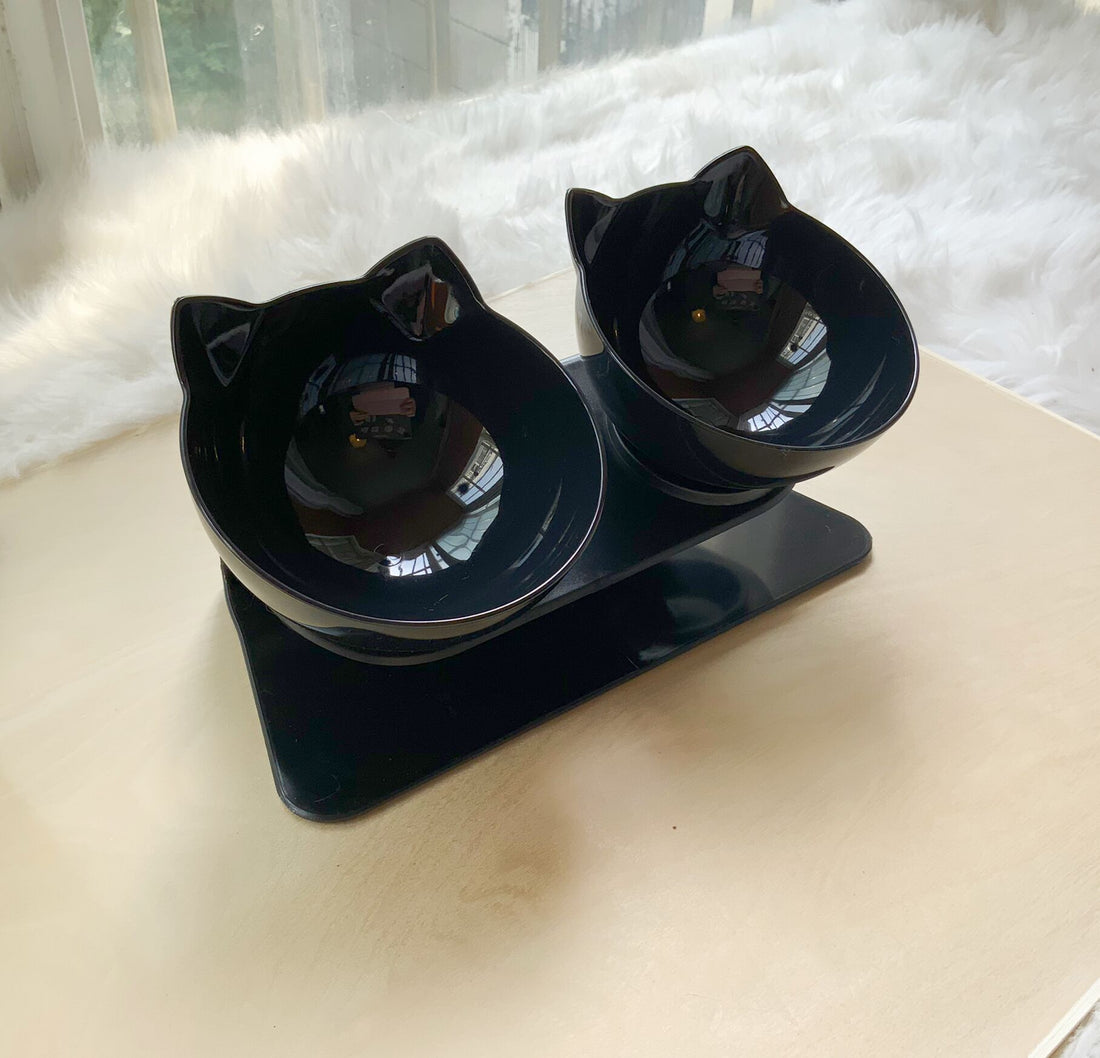 Non Slip Raised Stand Double Pet Food And Water Bowl