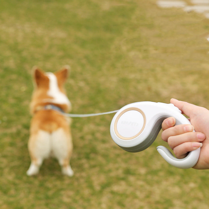 Pet Automatic Retractable Durable Traction Leash Supplies