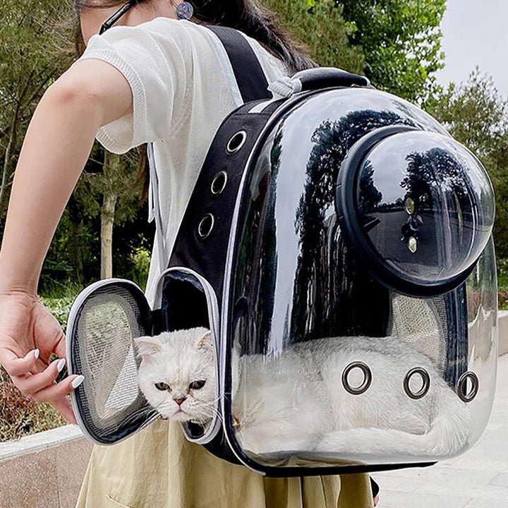 Transparent Skylight Breathable Pet Backpack Large Capacity Travel Bag