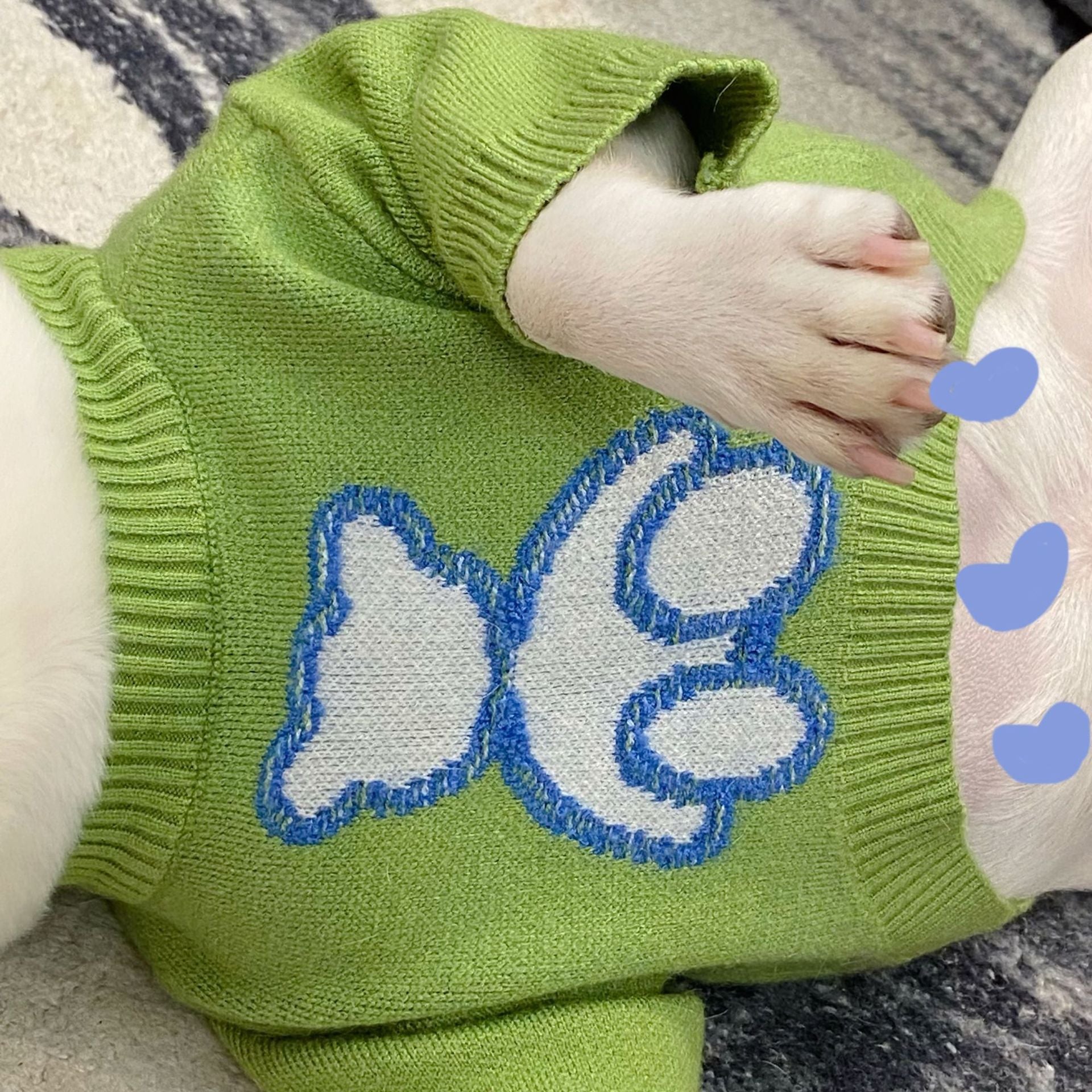 Fall Winter Fashion Pet Sweater Clothes