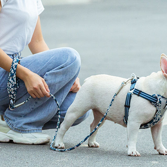 Outdoor Pet Floral Round Handheld Rope Leash