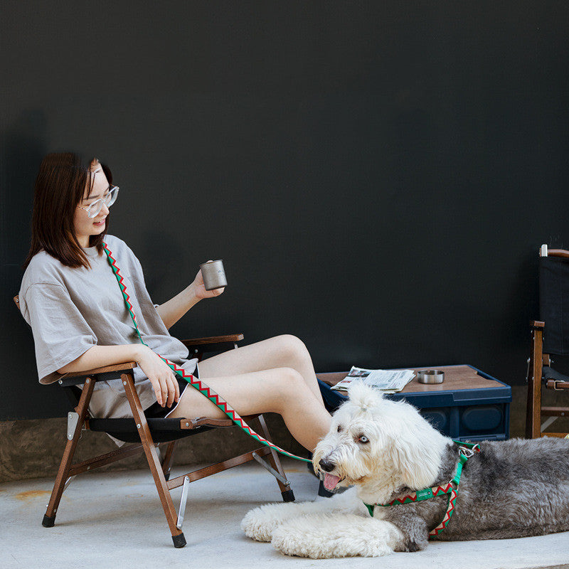 Rainbow Adjustable Hands Free Multifunctional Pet Traction Rope